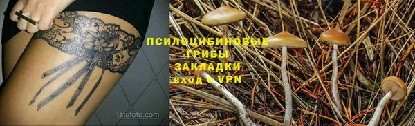 соль курить ск Нея