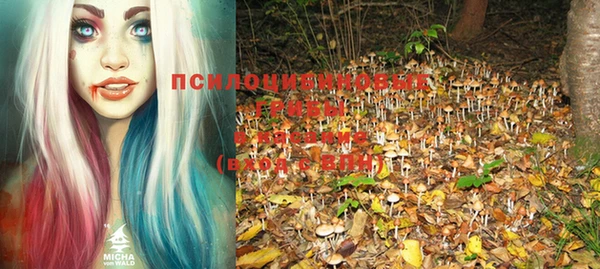 соль курить ск Нея