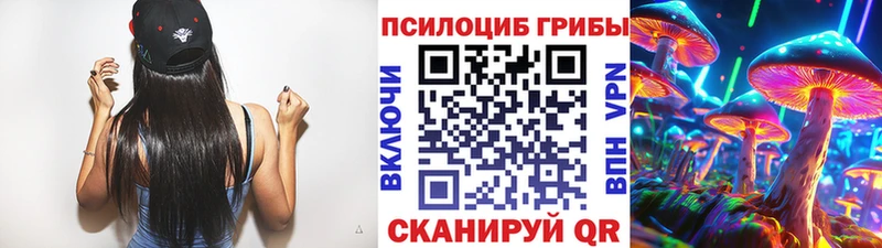 закладки Мичуринск Псилоцибиновые грибы прущие грибы