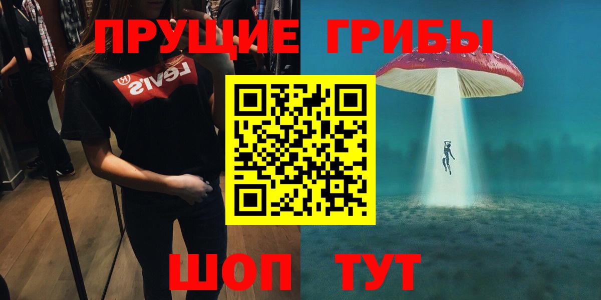 Псилоцибиновые грибы Cubensis Мичуринск
